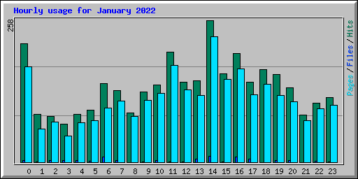 Hourly usage for January 2022