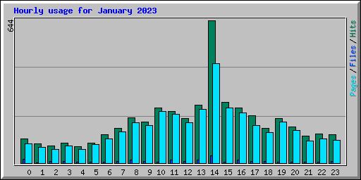 Hourly usage for January 2023